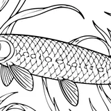 Florida gar