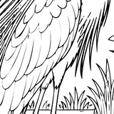 Great egret